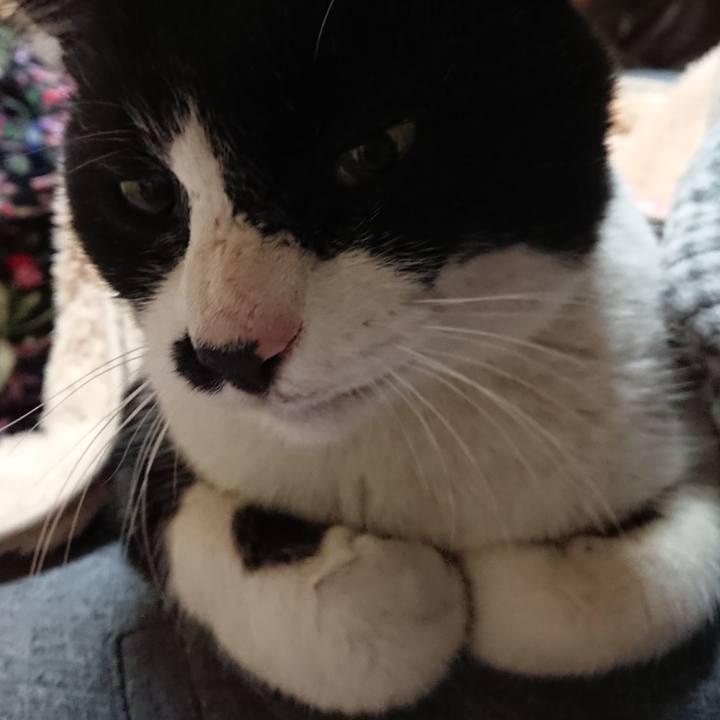 70a2a5f8 09ef 4259 a966 a464d8da8c67 1554123013779