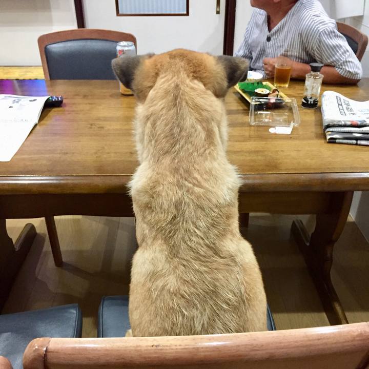 70a2ba99 35db 44b1 88ef dc4398dd8621 1533381765721