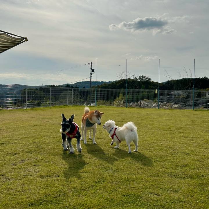 70a2cf24 d82c 482f b19b d83f729a88f1 1729848195004