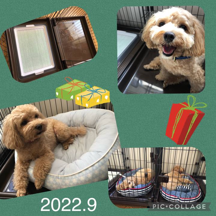 70a3050f a1a7 4907 ac14 2acbd8eb50e3 1664079659592