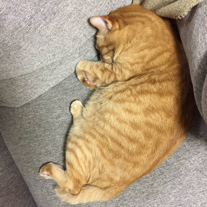 70a36d6e eaf3 4c96 935a 98d6ba292b48 1528558665341