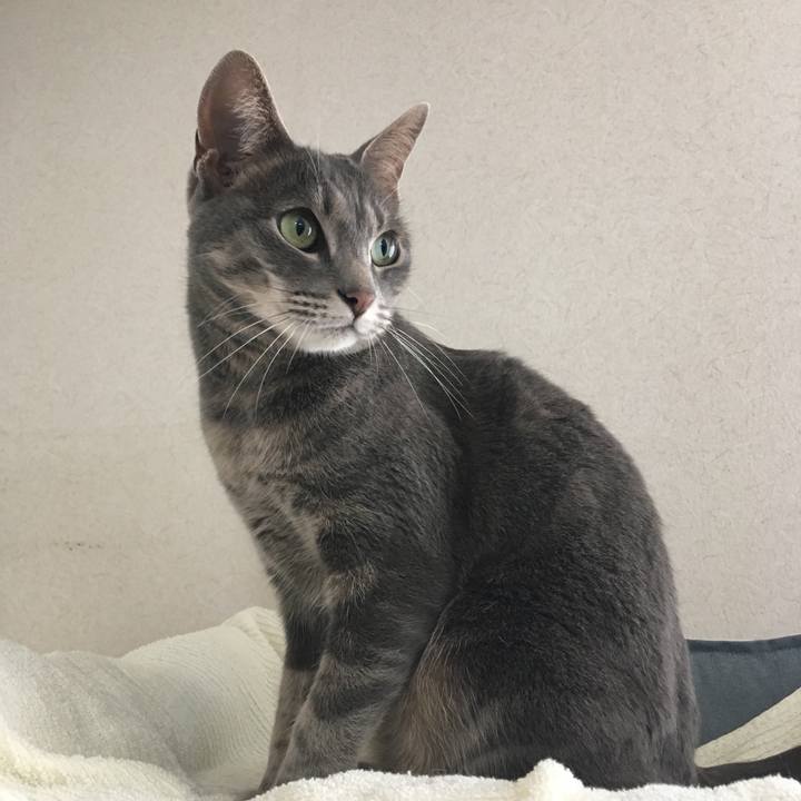 70a3754e 9c40 43cd 9b4b d2c1f627bb63 1641306185905