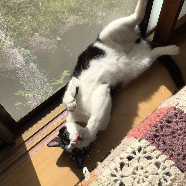 70a38ff6 7331 49f7 95c0 c40db35620e0 1650845945707