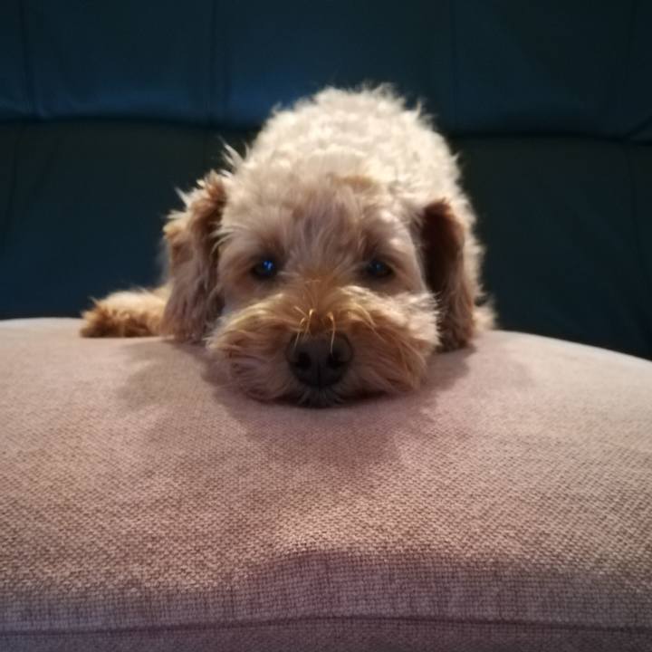 70a3994d 24fb 4923 bd50 97097c33b827 1568153368880