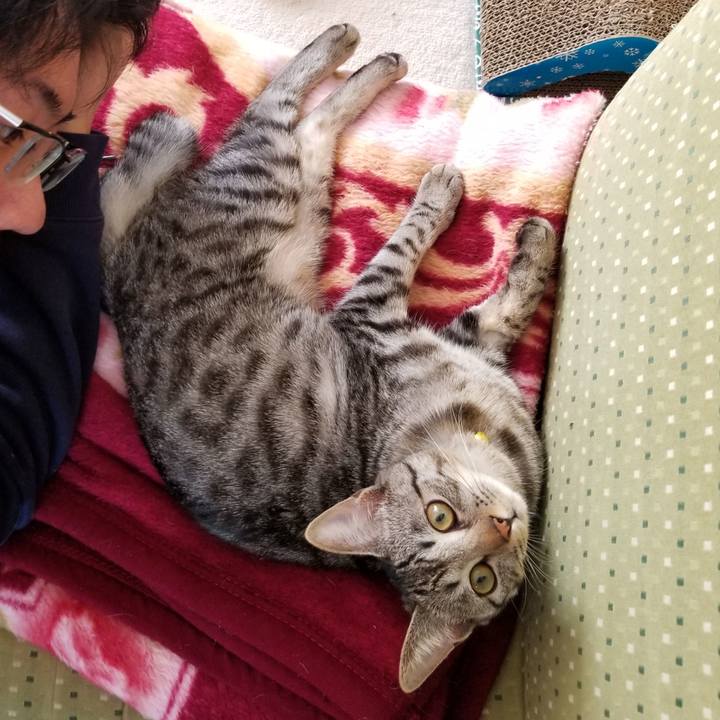 70a39ad6 b2b1 47af 8a29 9d88e7679154 1675583904342