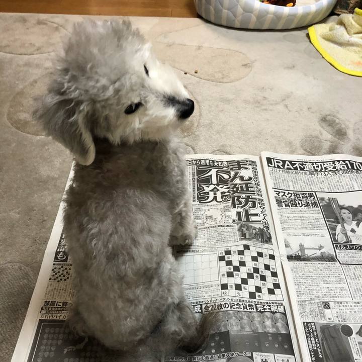 70a3b01a 50c3 472a 9c10 ab04d4d40c38 1618307230731