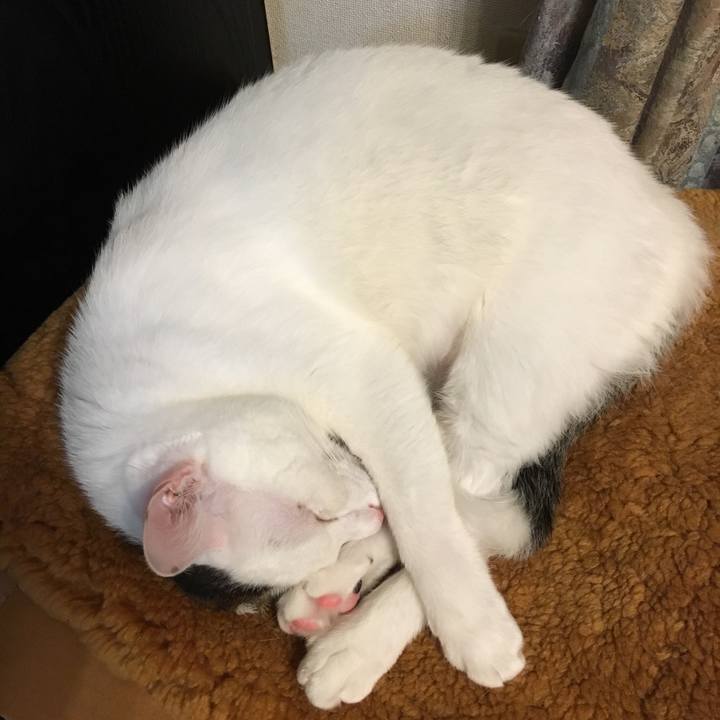 70a3e108 5f45 43a0 894b 89bca268e69b 1529755513031