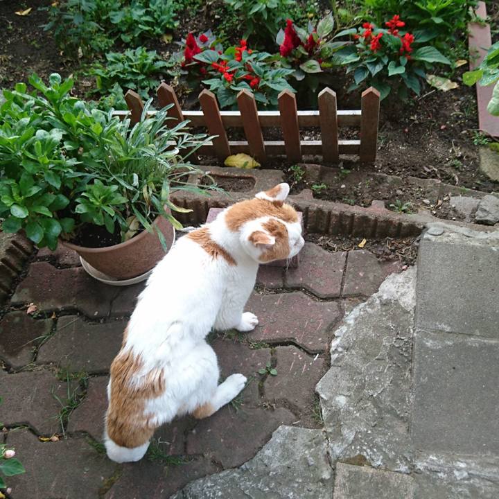 70a411a9 a094 48f9 ba1f db02bc731235 1629365101395