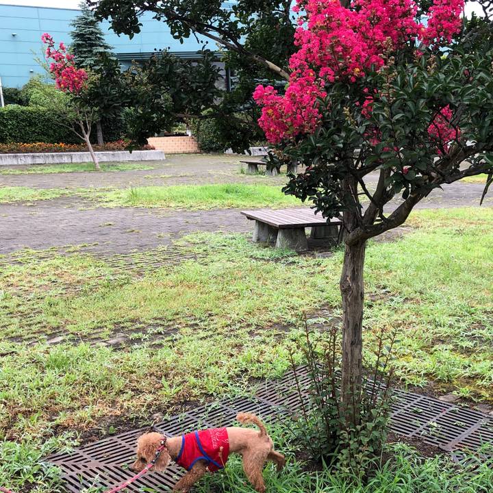 70a44baf 1a81 4e45 b86a ef9fd0200787 1566000228776