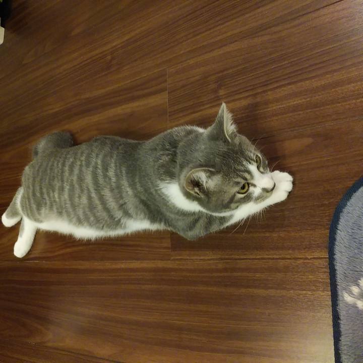 70a469b9 b56b 4e4c 8487 1a45e9025faf 1568723906681