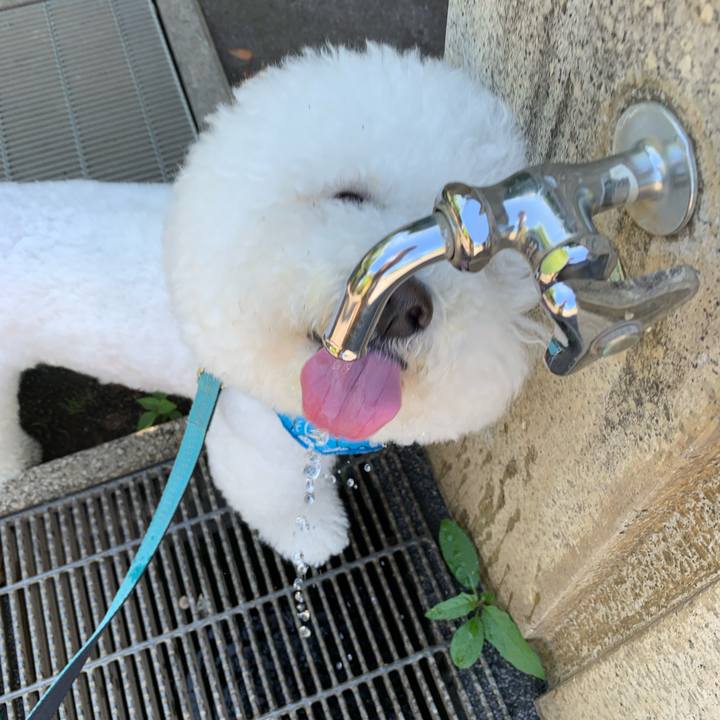 70a49836 1354 4c10 b3f8 1e77baf75c58 1758601869015