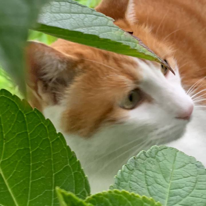 70a4b732 74db 4650 8b88 53005f3b0c26 1628672387548