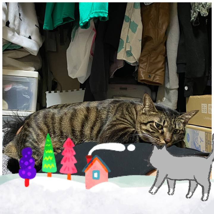 70a4c255 5fc2 41fb b9f8 033a1074b2ee 1610424223782