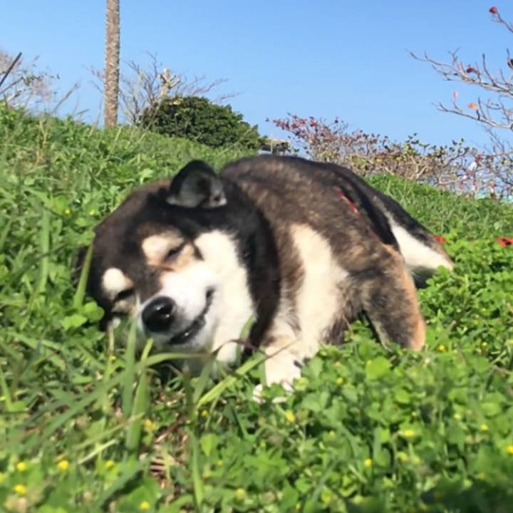 70a4cba7 b23b 4306 b1ee ae7804871402 1647135654110