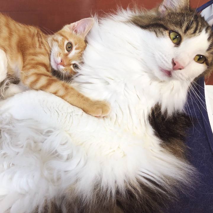 70a4d524 56dc 41e8 afd1 3945876fc2f7 1568276817045