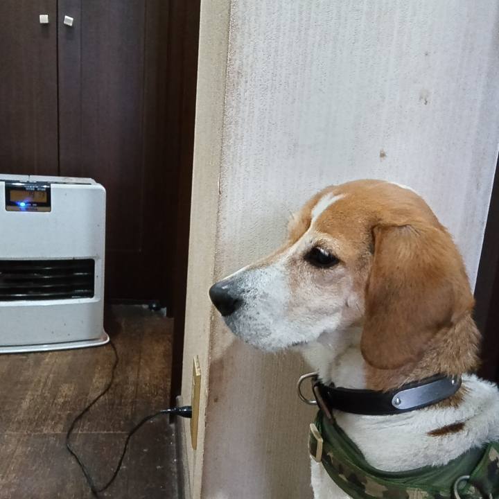 70a4f3d5 db66 4531 9dcd 23622a68aeb4 1742128266880