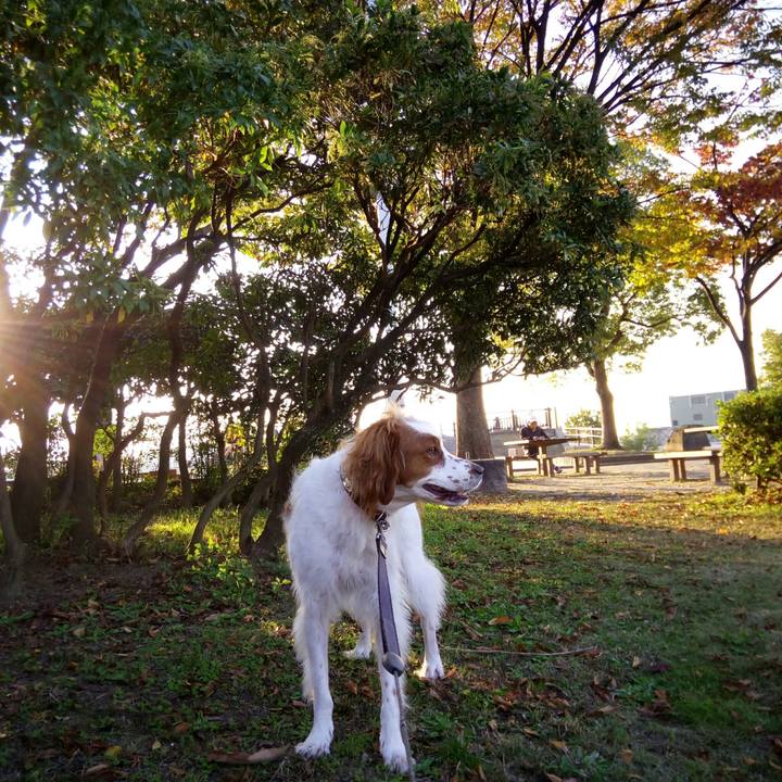 70a515da 9e94 432c 994d 8560a7cd2af4 1509956462635