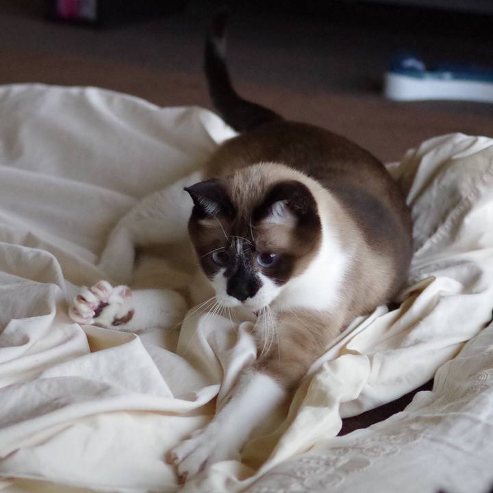 70a52c54 1d47 488e 80f4 2b3668a574e0 1525418416118