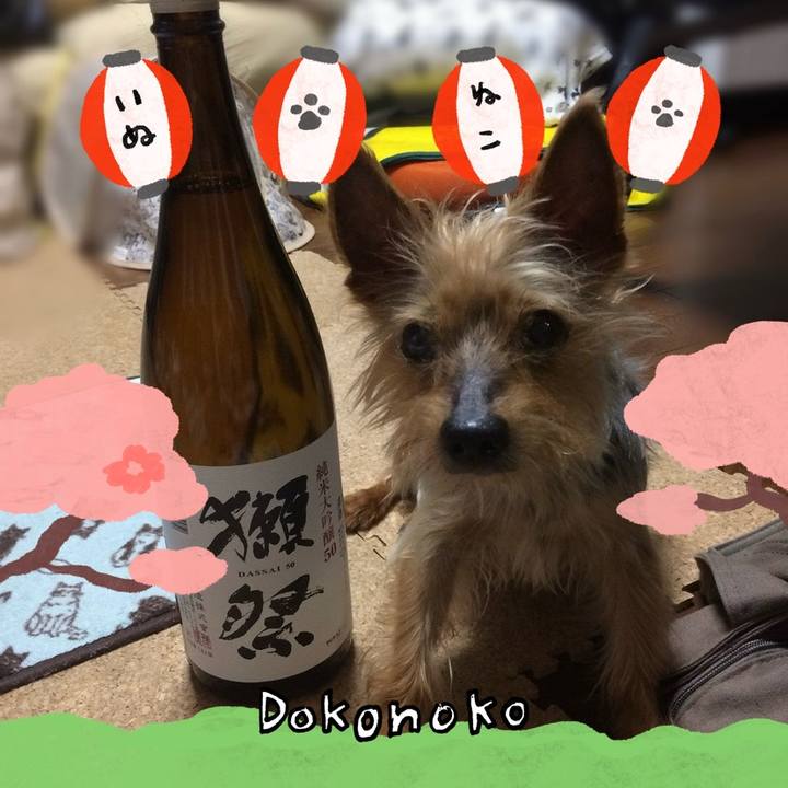 70a54466 14b3 4005 b10a de0242390e8f 1712228589686