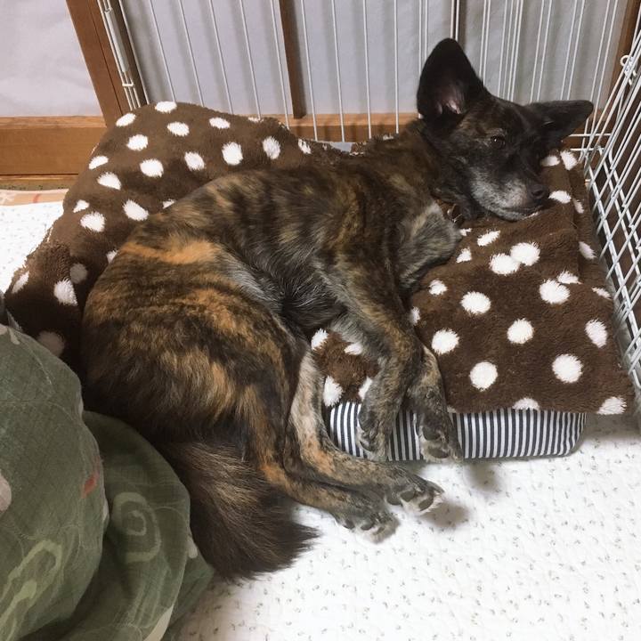 70a54820 06d6 4039 89f3 3889a8643a39 1545665822822