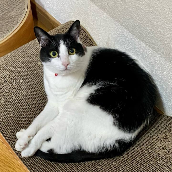 70a55023 ee94 4e18 9805 a71a329ba5e7 1661831602602