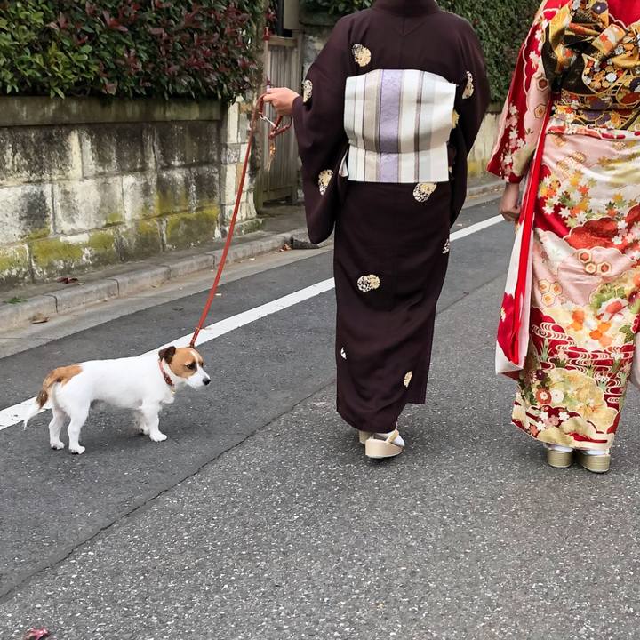 70a552f7 529d 4bd9 add4 d97aba488616 1511698585349