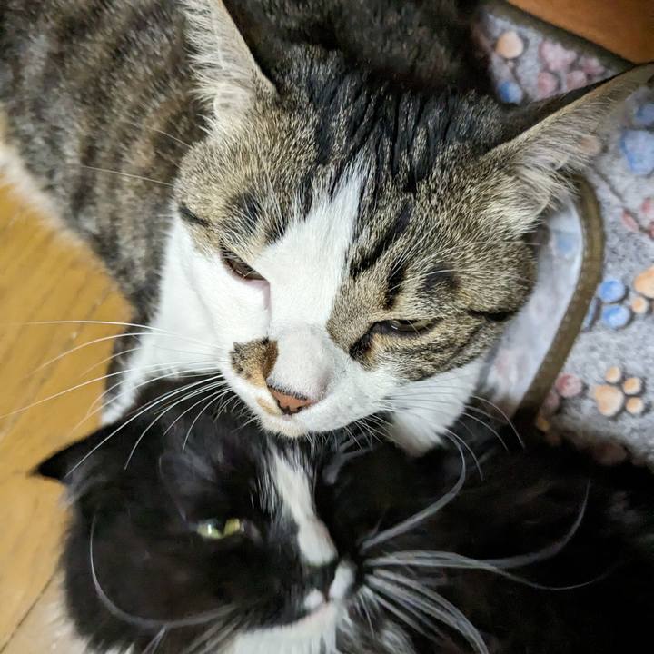 70a56321 f250 45cb a7e0 8df530d704f7 1681076351443