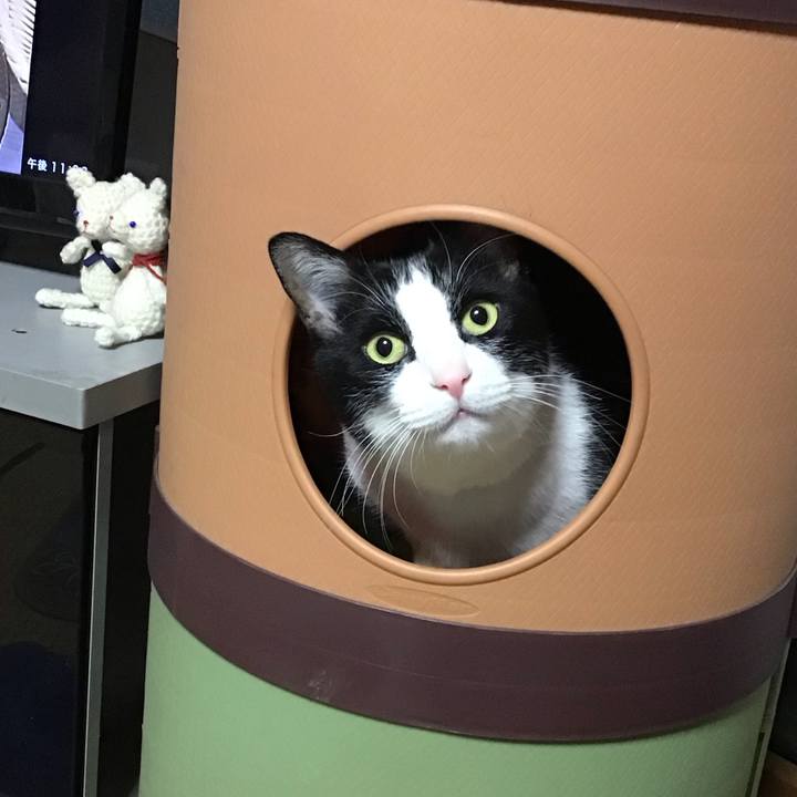 70a5a757 7c8e 4a24 83f1 e9ad17d9f993 1743516366063