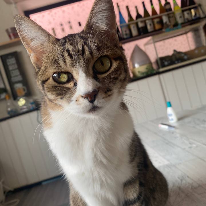 70a5a771 2811 4849 b512 61bf59c8706a 1648698694898