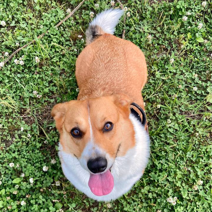 70a5b9aa e241 4b8b 9186 a977c364a57b 1685839879372