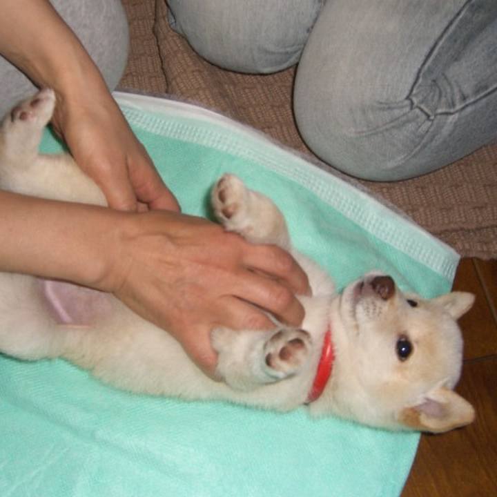 70a5ee03 d8ef 4e86 a1c8 a790d92dfb28 1637592017390