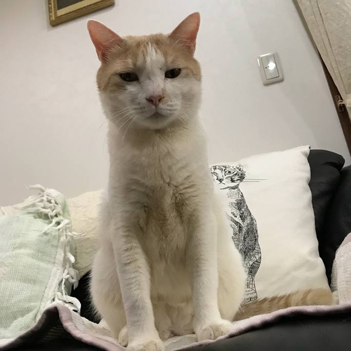 70a66025 fb2d 40bd ba3a 0183b5157f33 1516624458121