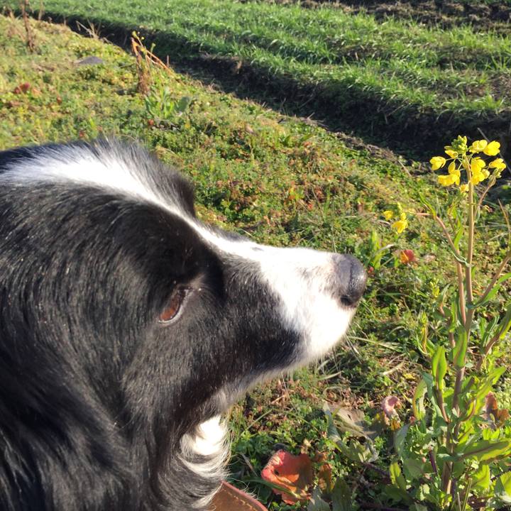 70a684ed ad8e 418d b4c4 e5d90eecda57 1519081963167