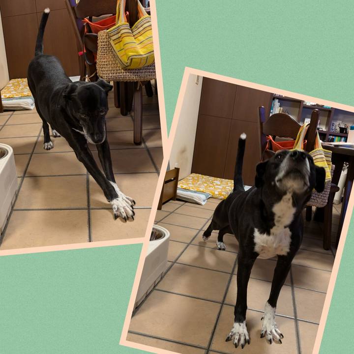 70a69414 b3f6 40b9 a422 1186d3f01df1 1730113700048