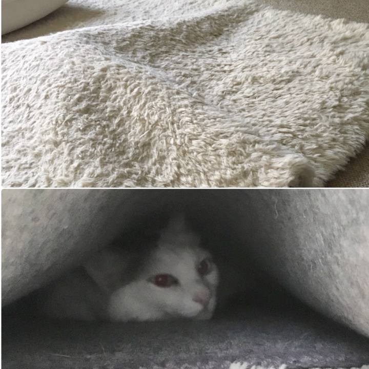 70a69d0f 0486 41e0 809d e9dfad79eb09 1557995128305