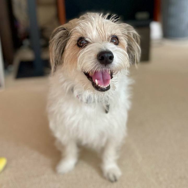 70a6dde3 ea4f 4b98 9978 7220ec7c020f 1758627627755