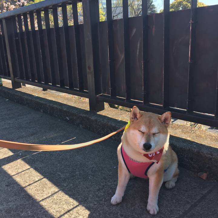 70a6f52d d94b 4211 8367 66d69e8ba35e 1555158468185