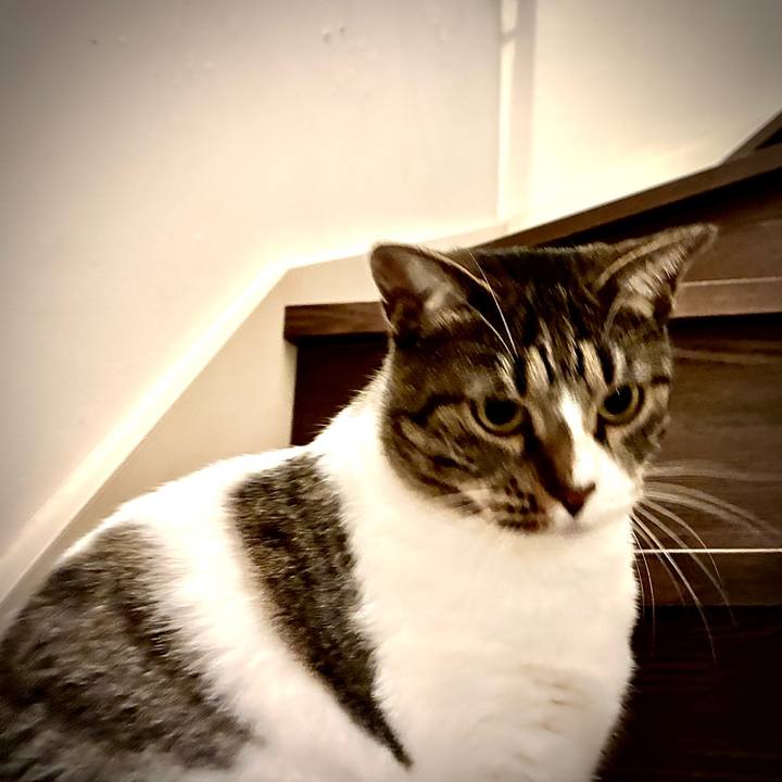 70a720fa e8c3 4cc7 85e3 9e1a91c67662 1764598039564