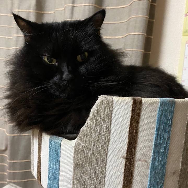 70a724f3 d047 4a12 8b37 07284d2bb979 1574061335907