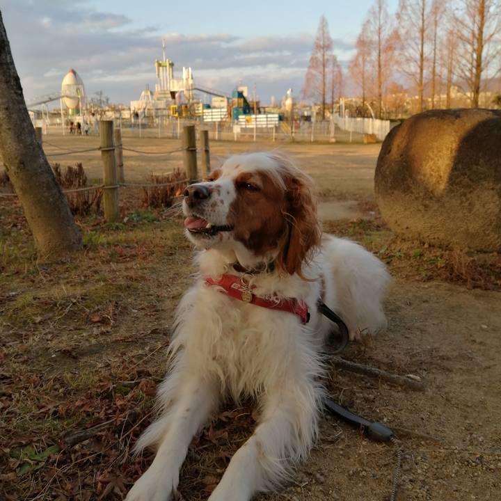 70a737b8 3348 4b3a 93df f938ef5ceb2a 1579598083069