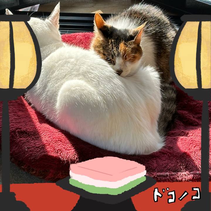 70a73d11 fbc3 48e8 bfed 08477ebceddc 1741265025053