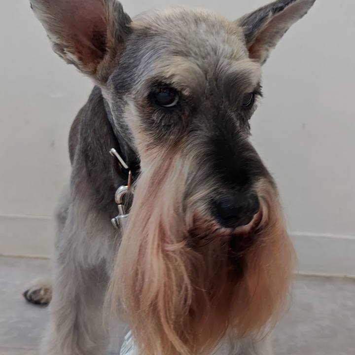 70a76e33 bceb 4f16 9cba b31fd2ad5ab9 1758809058595