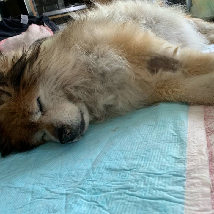 70a77b1d 6175 4df8 ba56 26d637b11a12 1561602216027