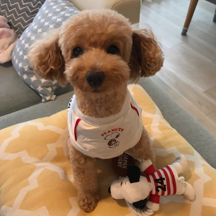 70a789ca 78f5 41a1 8323 df39a70e83ce 1566893028218