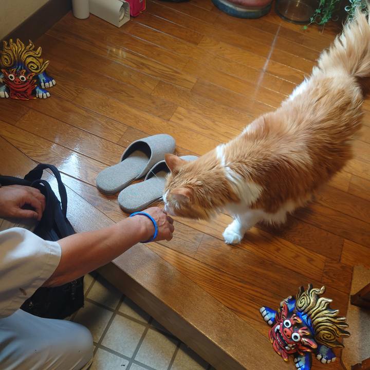 70a7a37b 0513 4729 9593 2a65376402d1 1694052471110