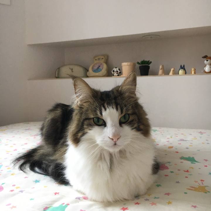 70a7aae7 9495 423f 8df9 cea5e52fb2b4 1519532631016