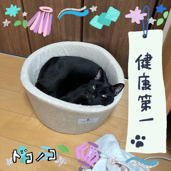 70a7bf06 6da5 4161 a0d6 3c3f99b25f6b 1720850418149