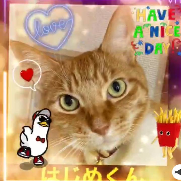 70a7d75e c1ad 4510 a142 e75a9b89a115 1734788232106