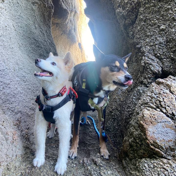 70a80bfa dc54 4bdf 8d87 9755de0475df 1727397481326