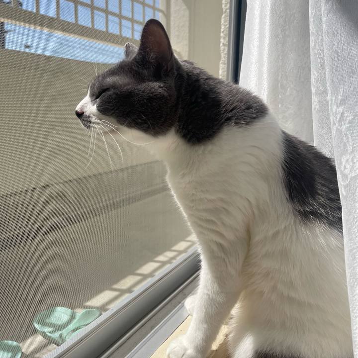 70a86c26 9694 442e 9f26 38703270a651 1695520068811